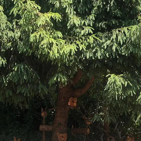 Oasi Di Pace E Natura Appartement *