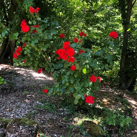 Oasi Di Pace E Natura *