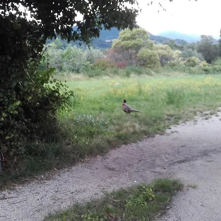 Oasi Di Pace E Natura Appartement *