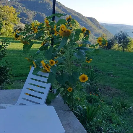 Oasi Di Pace E Natura Apartment Gardone Riviera