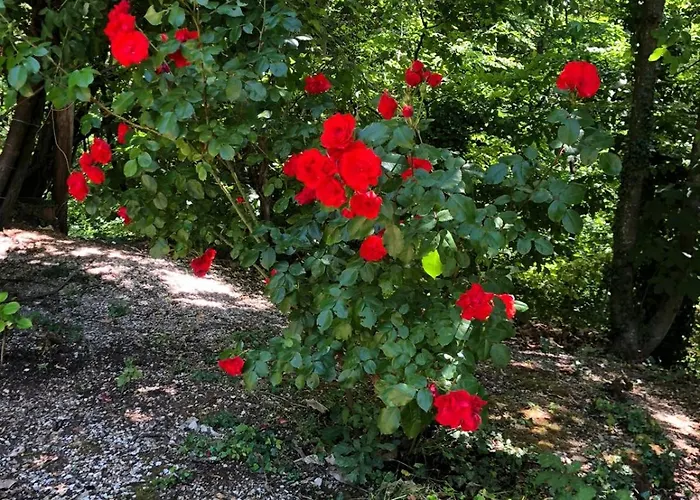 Oasi Di Pace E Natura *