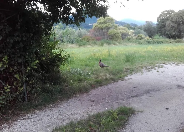 Oasi Di Pace E Natura Apartment *